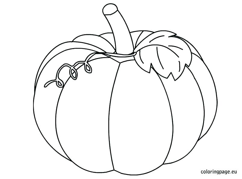 Pumpkin Line Drawing at GetDrawings | Free download