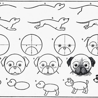 Puppy Drawing Step By Step at GetDrawings | Free download