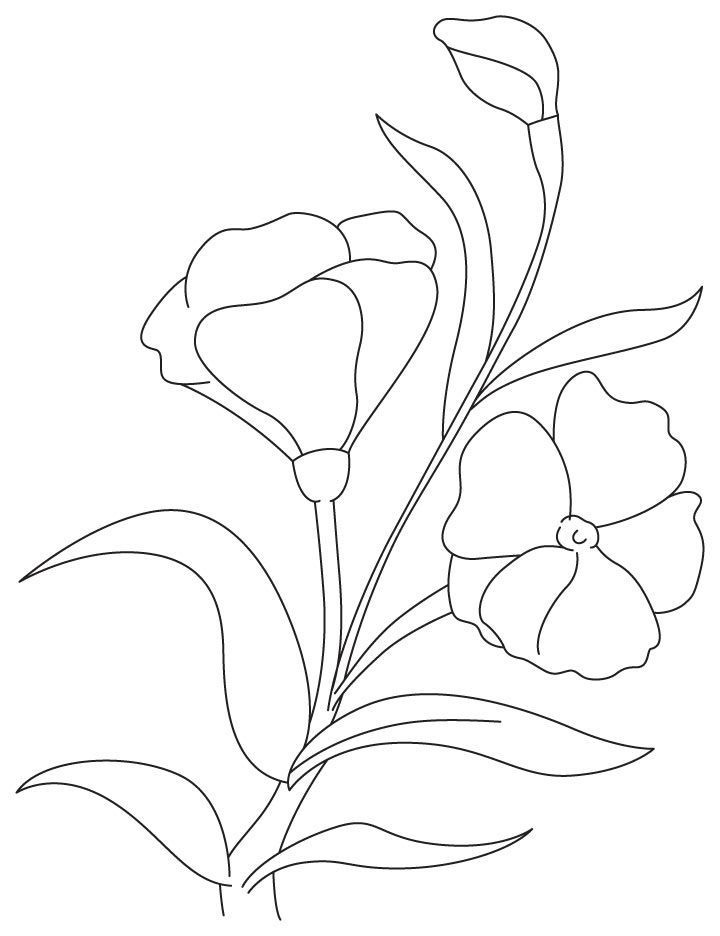 Purple Flowers Drawing at GetDrawings | Free download