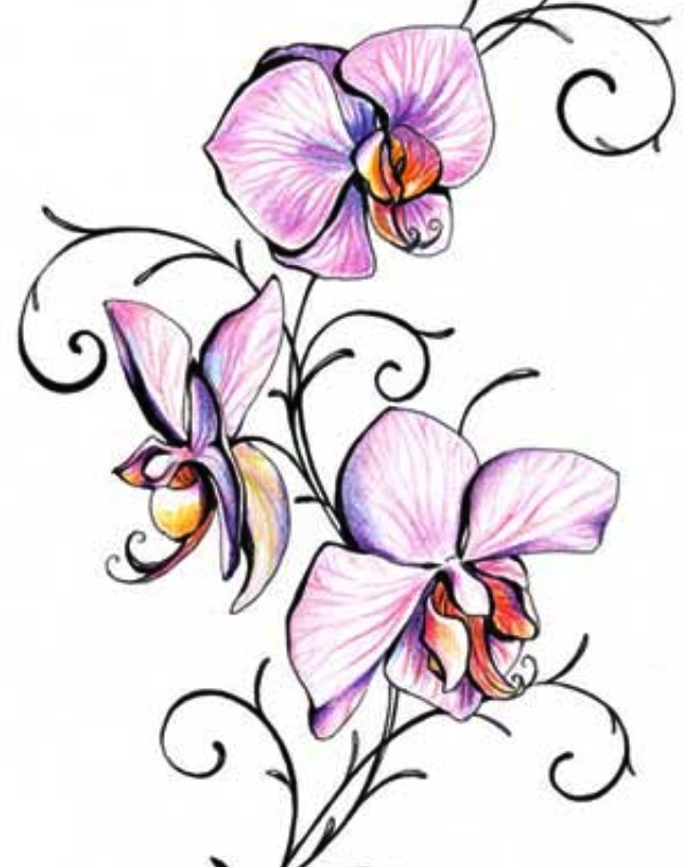 Purple Orchid Drawing at GetDrawings Free download