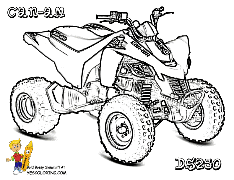 Quad Drawing at GetDrawings Free download