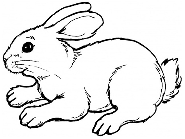 rabbit-drawing-outline-at-getdrawings-free-download