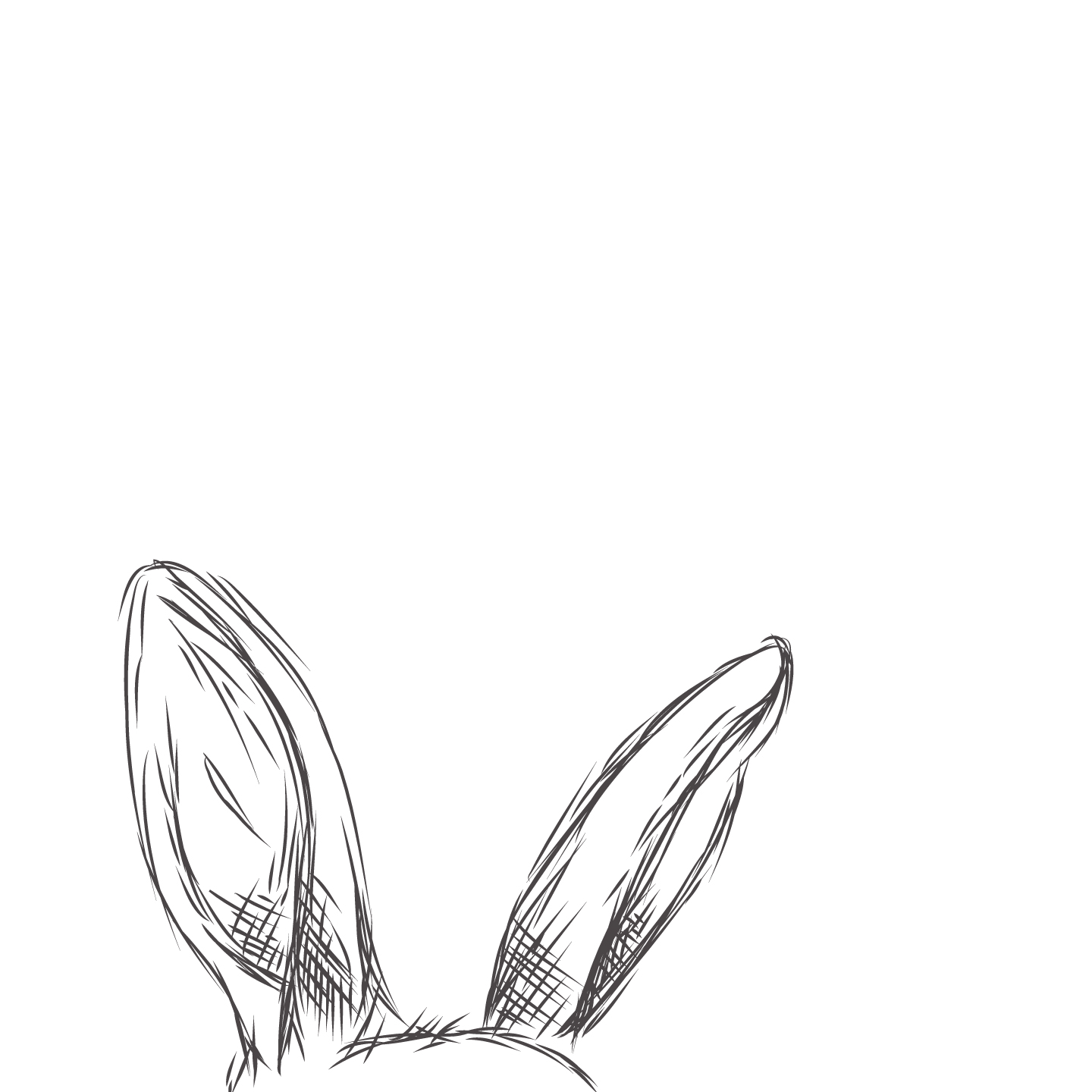 Rabbit Ears Drawing at GetDrawings Free download