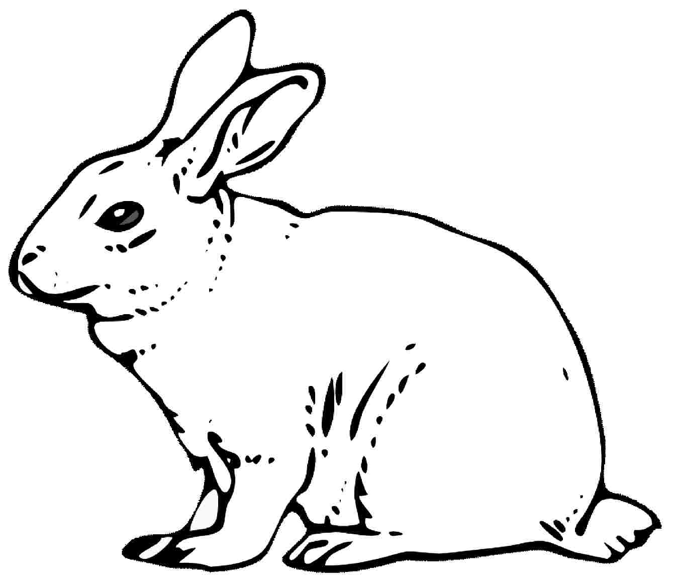 Rabbit Line Drawing at GetDrawings | Free download