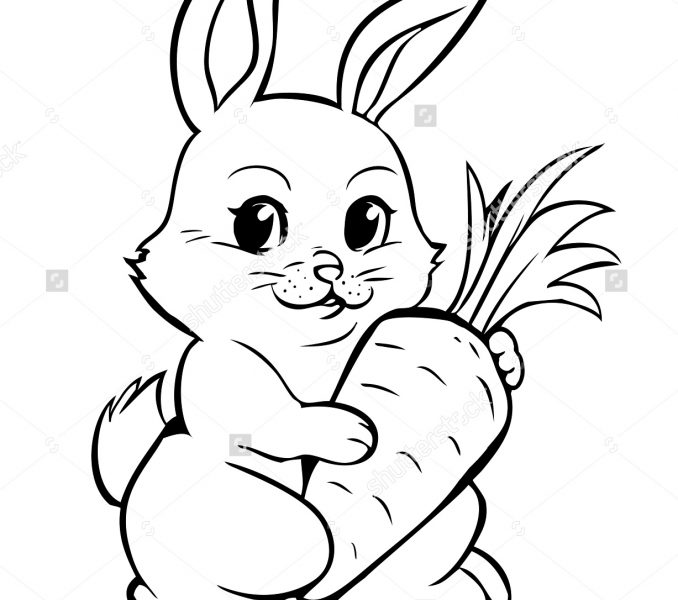 bunny outline