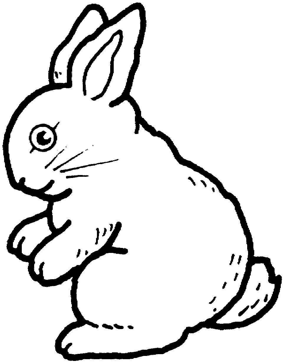 rabbit outline drawing coloring getdrawings