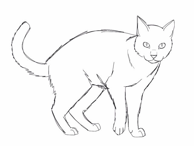 Ragdoll Cat Drawing at GetDrawings | Free download