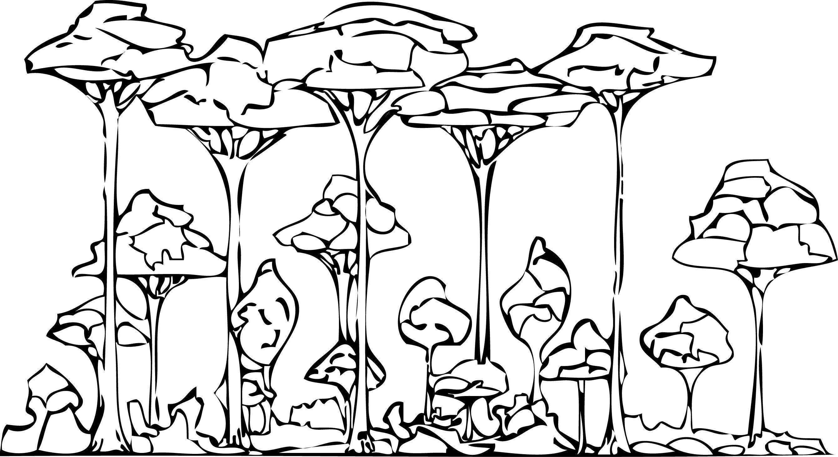 Rainforest Trees Drawing At GetDrawings Free Download