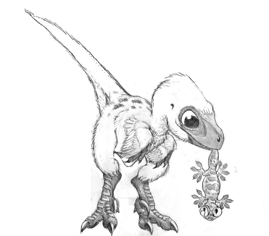 Raptor Dinosaur Drawing at GetDrawings | Free download