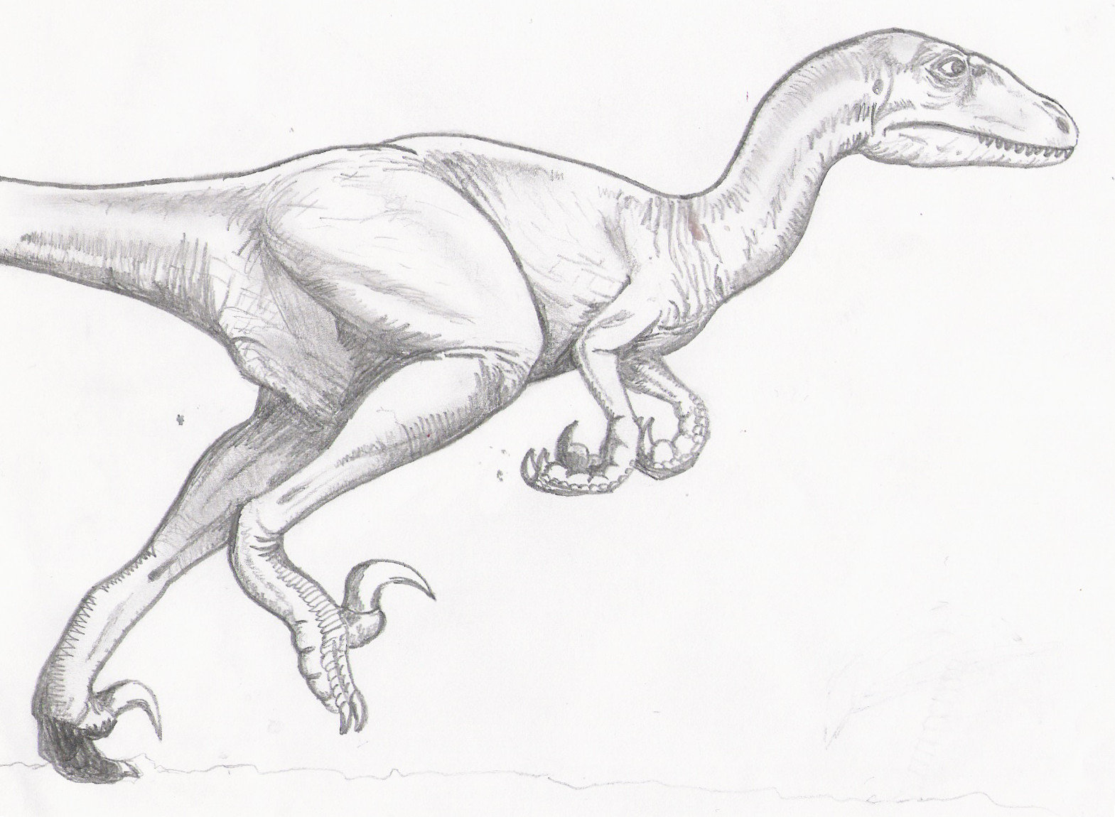 Raptor Dinosaur Drawing at GetDrawings Free download