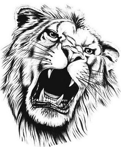 Rasta Lion Drawing At Getdrawings Free Download