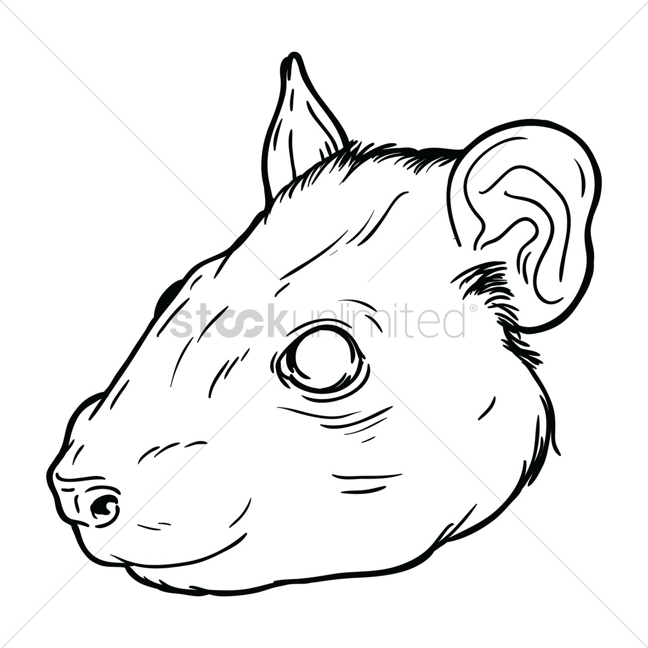 Rat Drawing at GetDrawings Free download