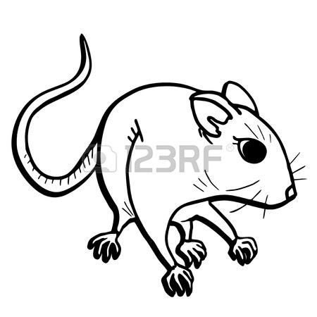 Rat Outline Drawing at GetDrawings | Free download