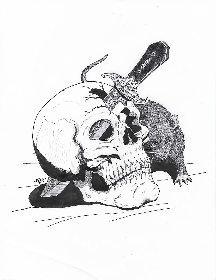 Rat Skull Drawing at GetDrawings Free download