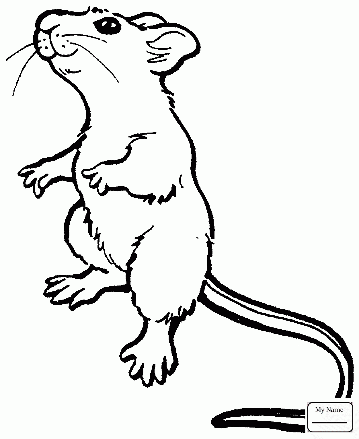 Rats Drawing at GetDrawings | Free download