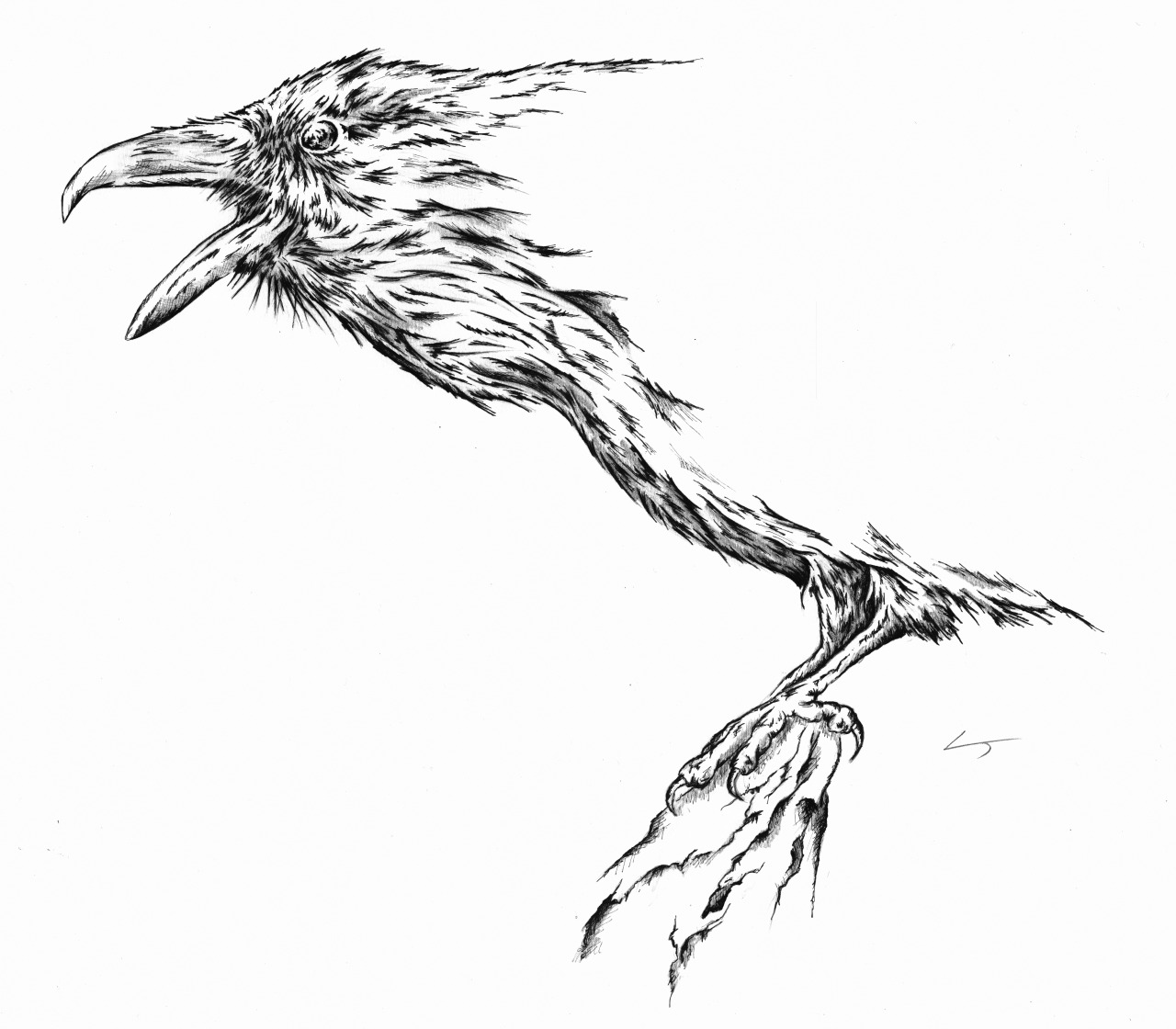 Raven Feather Drawing at GetDrawings Free download