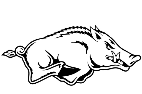 Razorback Drawing at GetDrawings | Free download