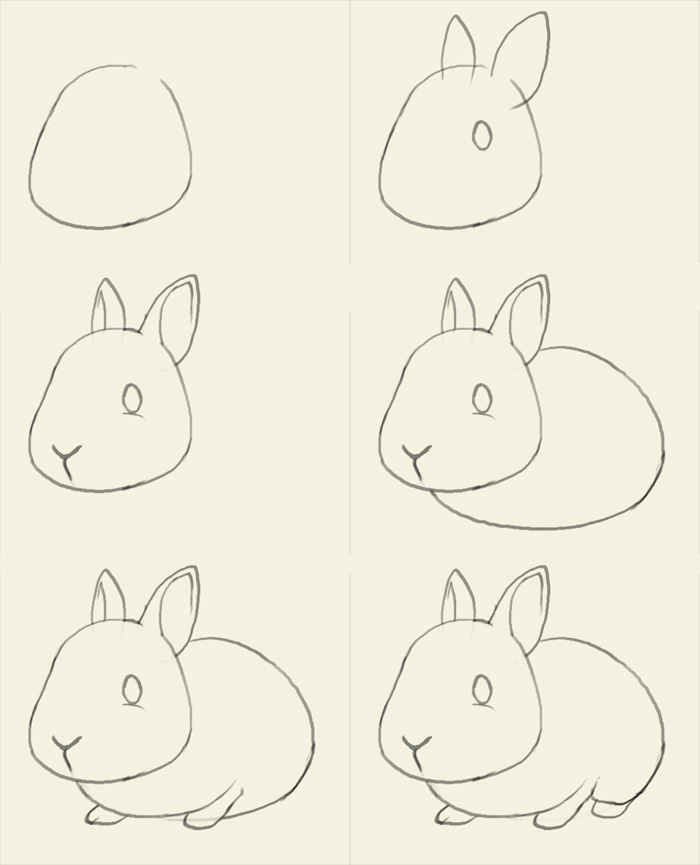 Realistic Bunny Drawing at GetDrawings | Free download