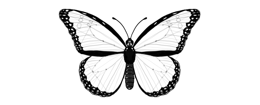 Realistic Butterfly Drawing At Getdrawings Free Download