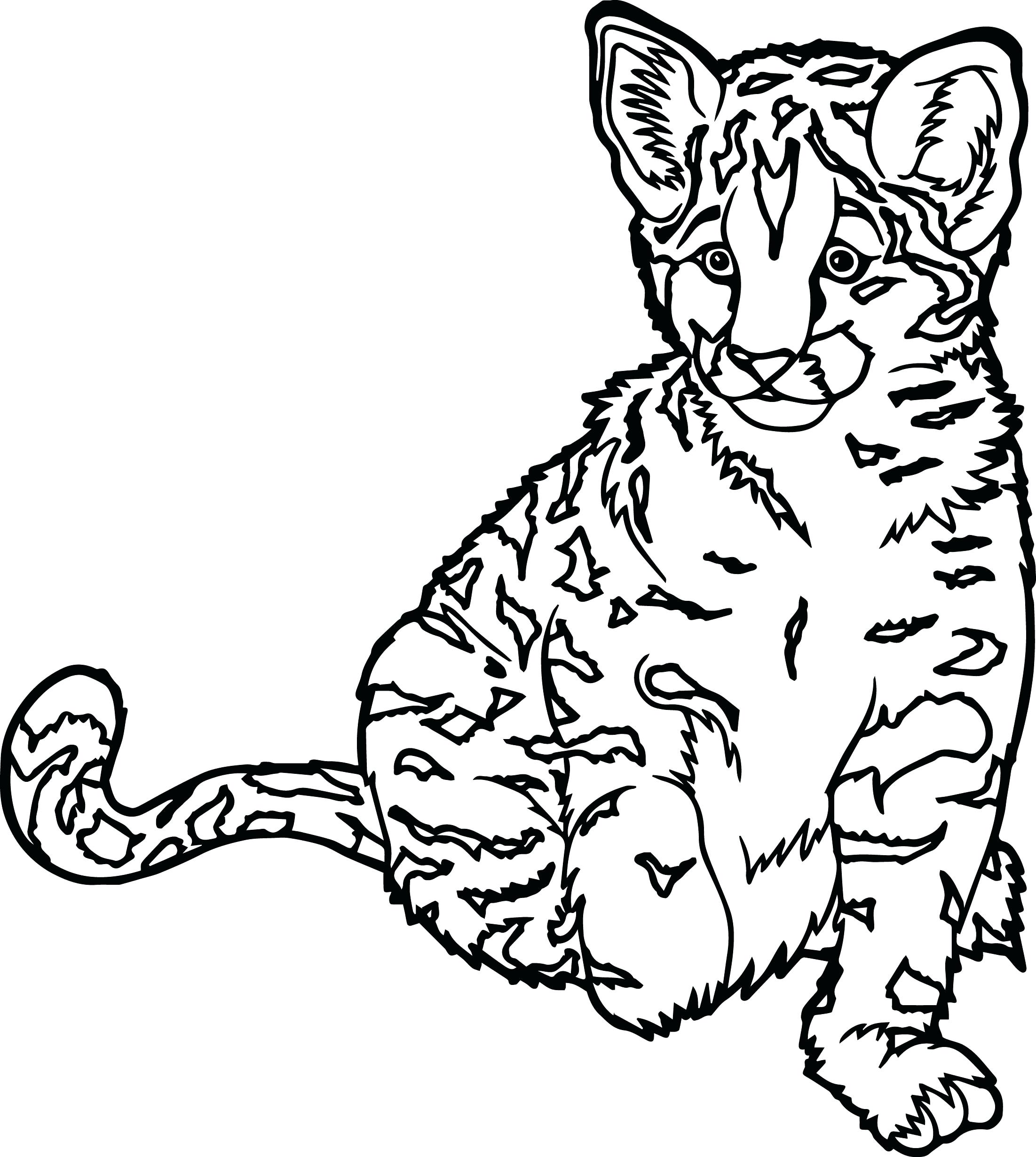 Realistic Cat Drawing at GetDrawings | Free download