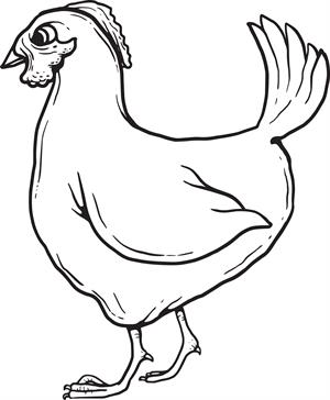 Realistic Chicken Drawing at GetDrawings | Free download