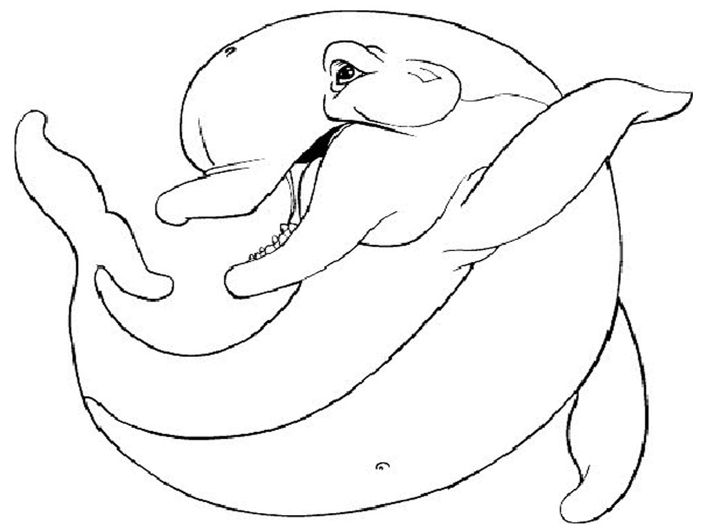 1024x768 Realistic Dolphin Coloring Pages.