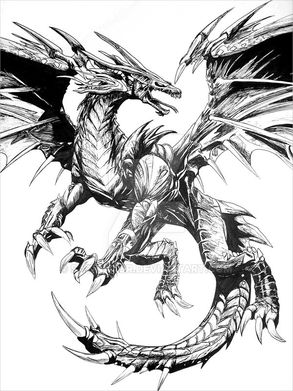 dragon sketch gallery