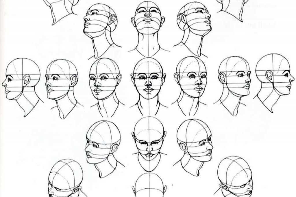 How To Draw A Realistic Female Face Step By Step Secrets Stuart Bodenowasude