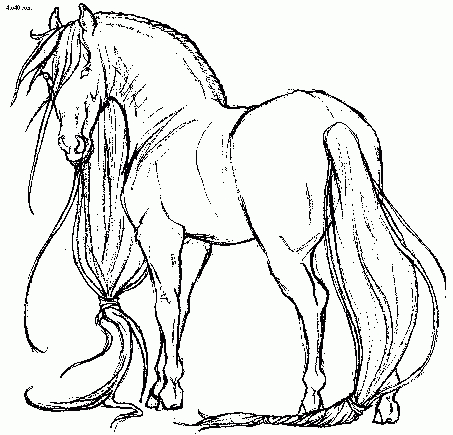 Realistic Horse Drawing at GetDrawings Free download