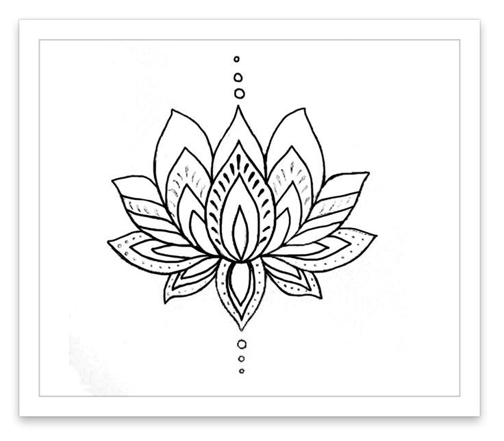 Realistic Lotus Flower Drawing at GetDrawings | Free download