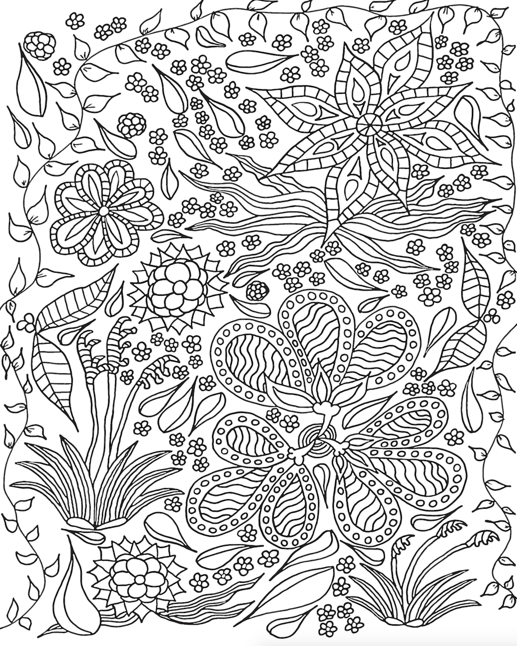 Coloring Book For Adults Nature Png Colorist