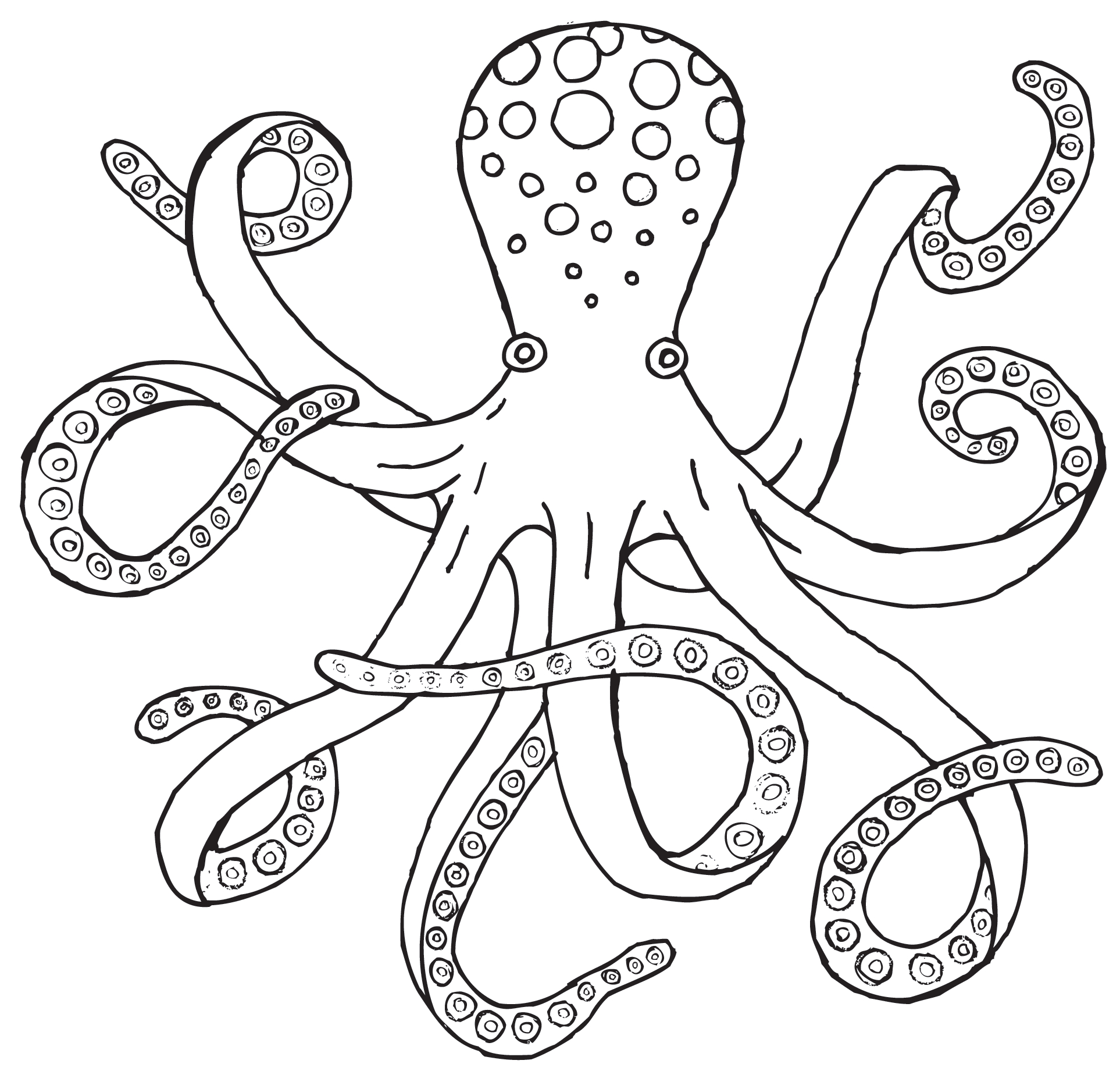 626 Simple Realistic Octopus Coloring Page with Animal character
