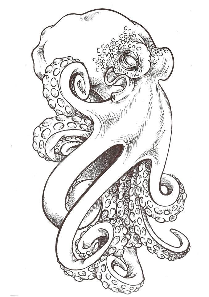 Octopus Sketch As Decor