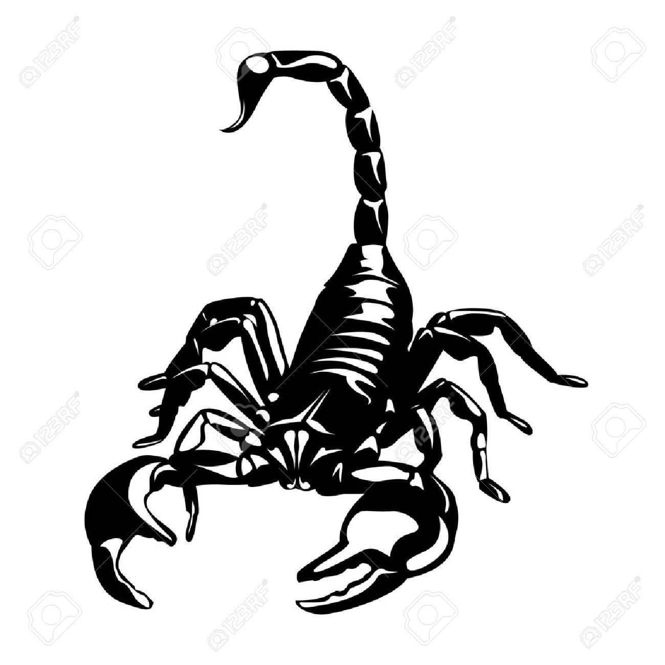 Realistic Scorpion Drawing At GetDrawings | Free Download