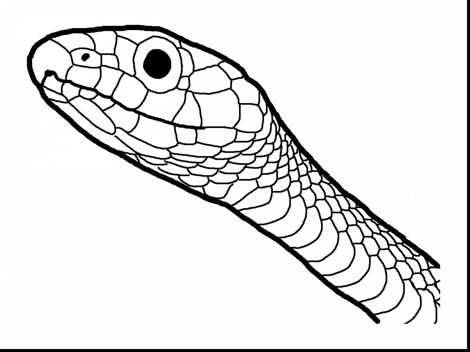 Realistic Snake Drawing at GetDrawings | Free download