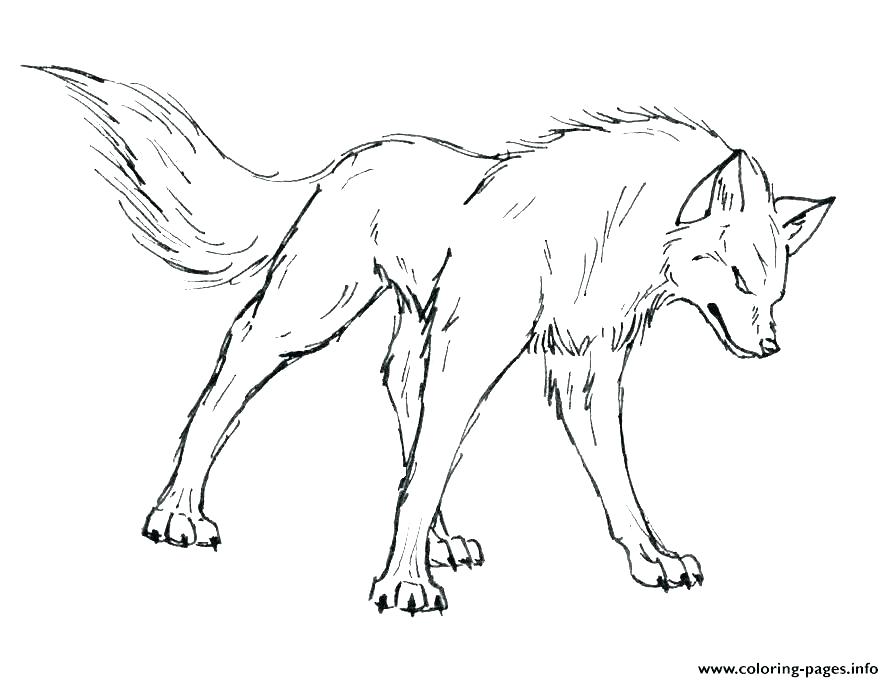 Realistic Wolf Drawing at GetDrawings Free download