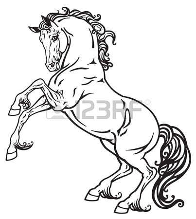 Rearing Stallion Silhouette at GetDrawings | Free download