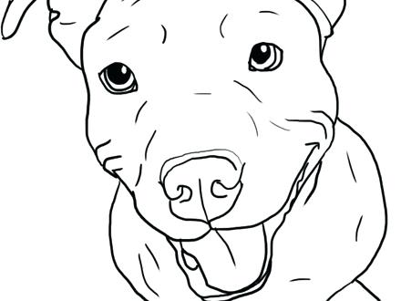 Red Nose Pitbull Drawing At Getdrawings 