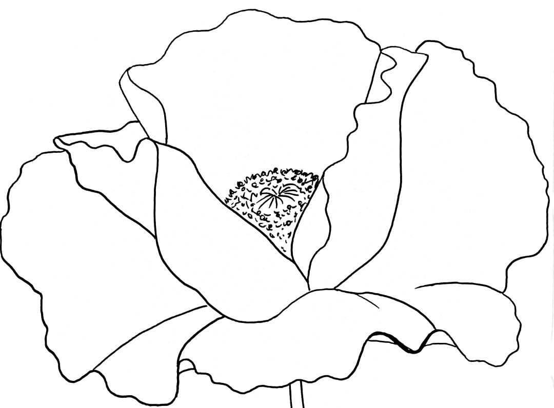 Scrapbooking Supplies Penny Black Poppy Pattern Decorative Stamp - 40-290 Slapstick Cling Rubber Craft Stamp Cling Stamp