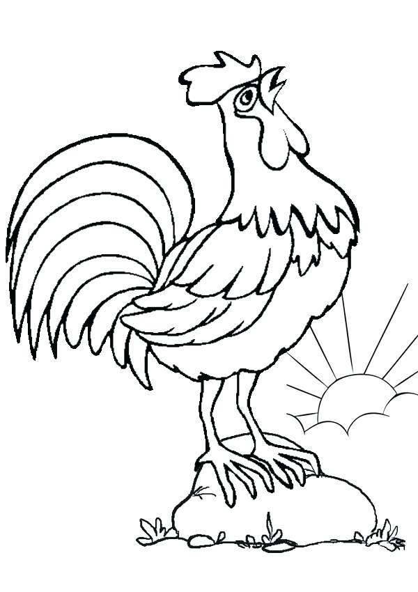 Rooster Fight Drawing At GetDrawings | Free Download