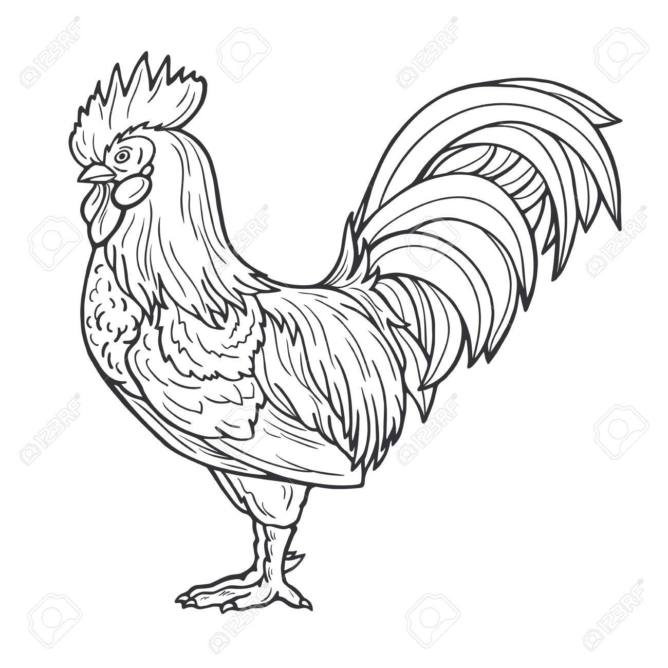 Rooster Line Drawing at GetDrawings Free download