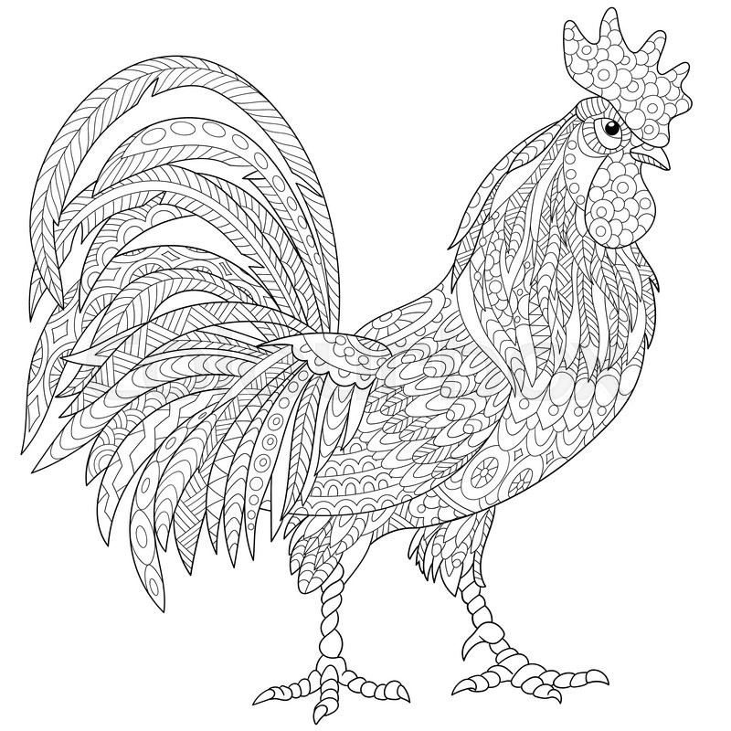 Rooster Outline Drawing at GetDrawings Free download