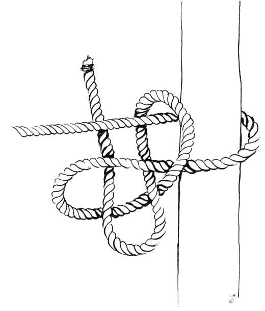 Hammock Knot Drawing Rope Suspension Types Tie Hammocks Knots Camping Hitch...