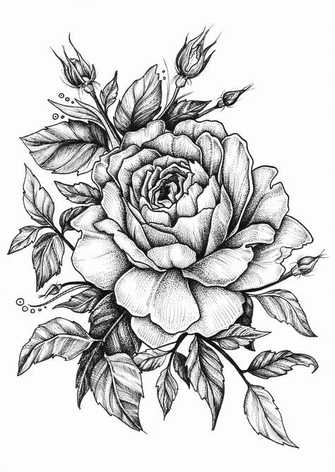 Rose Flower Pencil Drawing at GetDrawings | Free download