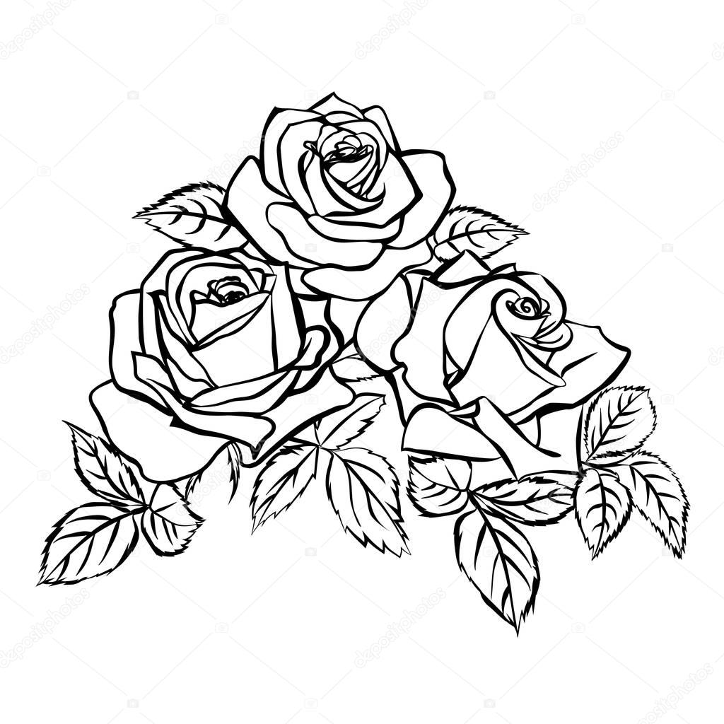 Rose Leaf Drawing at GetDrawings | Free download