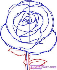 Rose Petal Drawing At Getdrawings 