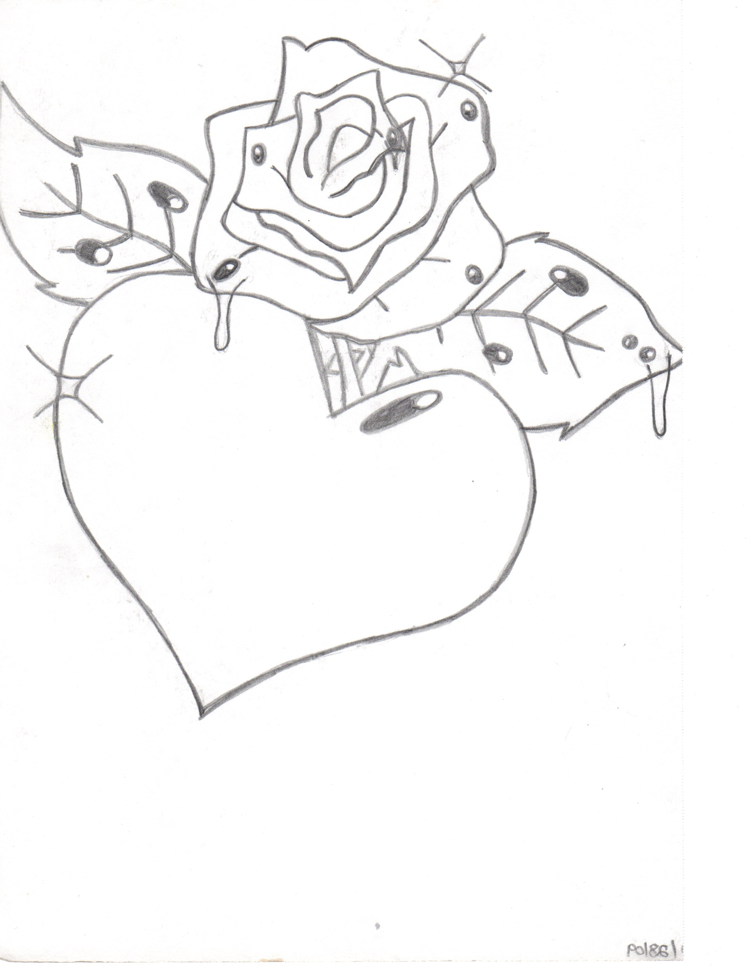 rose drawing sketch