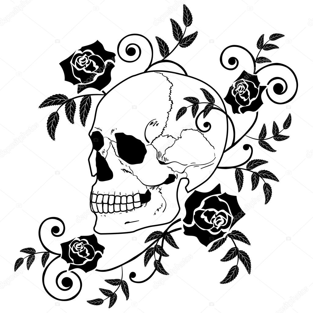 Rose Skull Drawing At GetDrawings | Free Download