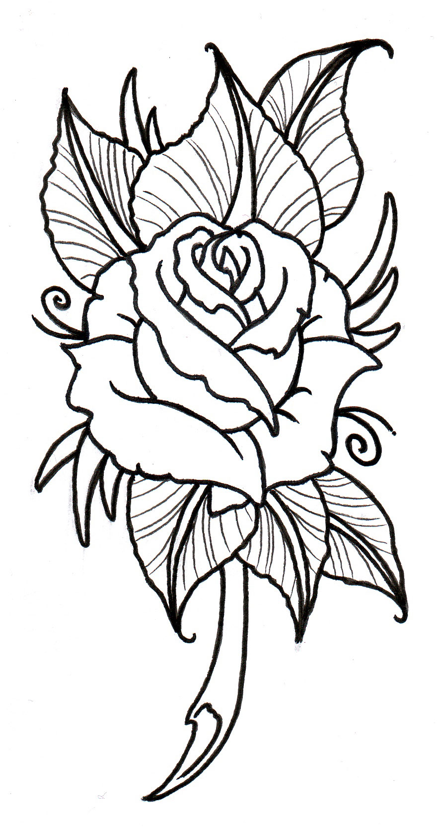 Rose Tattoo Drawing Designs at GetDrawings Free download