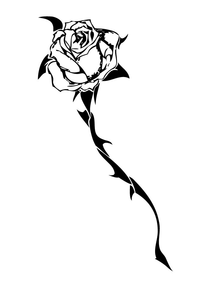 Rose Thorn Drawing at GetDrawings Free download